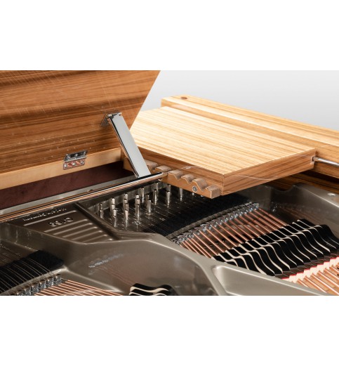 Schimmel Classic C169T Paldao